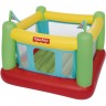 Игровой центр-батут BESTWAY "FISHER PRICE" 175х173х135 см, с мячами (50 шт), встроенный насос 220В, до 85 кг, от 3 лет 93533 BW